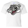 Ultra Cotton Youth T-Shirt Thumbnail